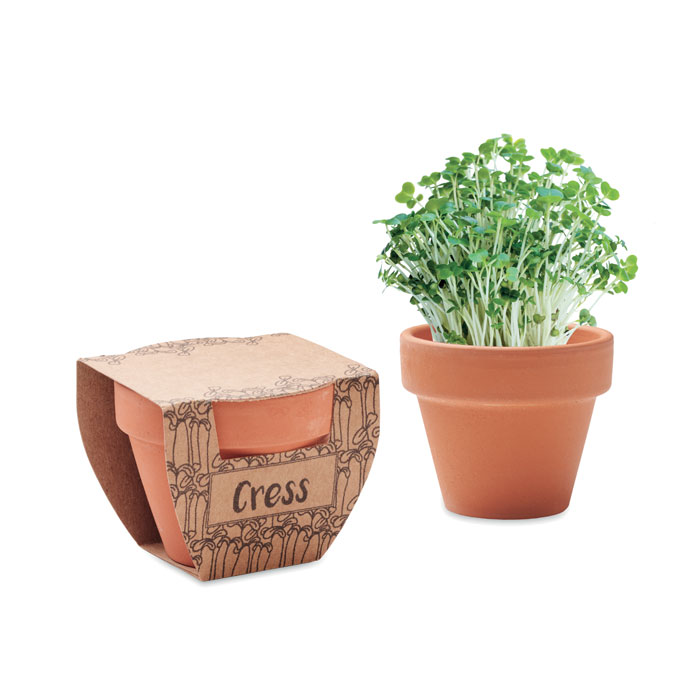 mo2219-40.jpg CRESS POT