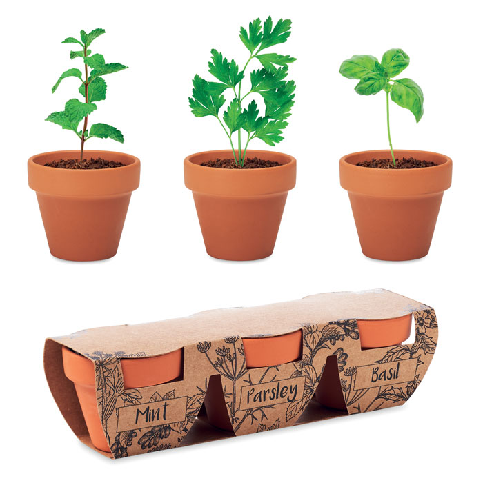 mo6145-40.jpg FLOWERPOT