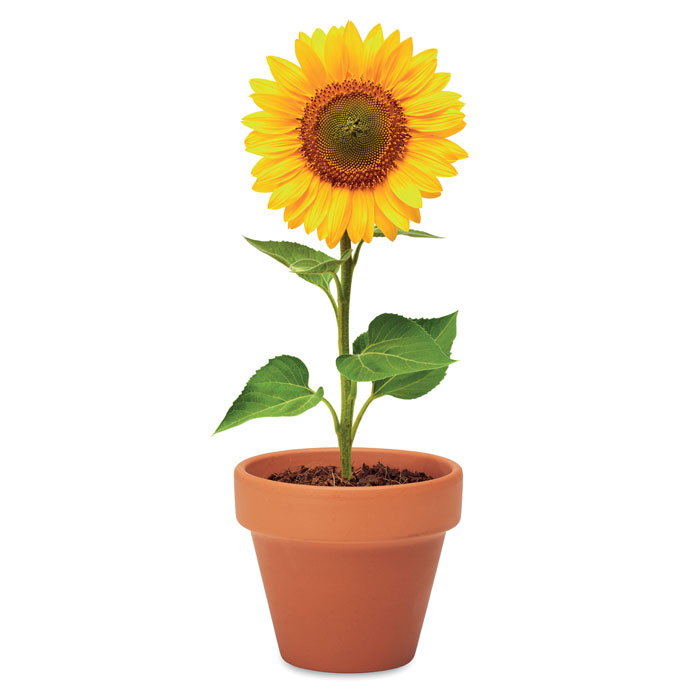 mo6147-40-detail.jpg SUNFLOWER - Image 5