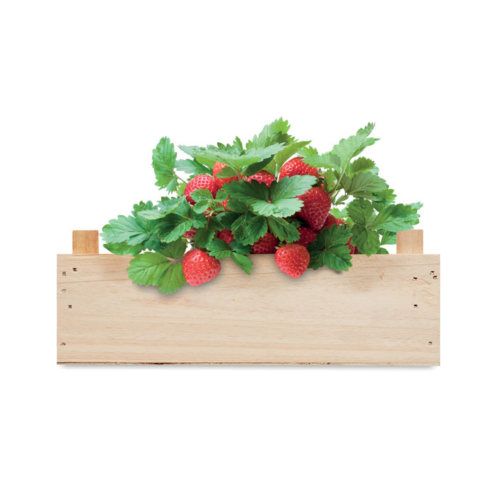 mo6506-40-top.jpg STRAWBERRY - Image 4