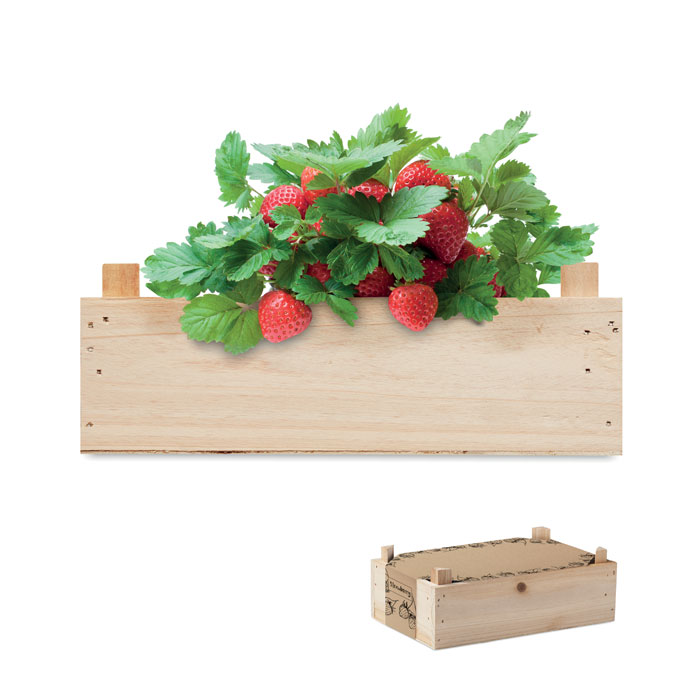 mo6506-40.jpg STRAWBERRY
