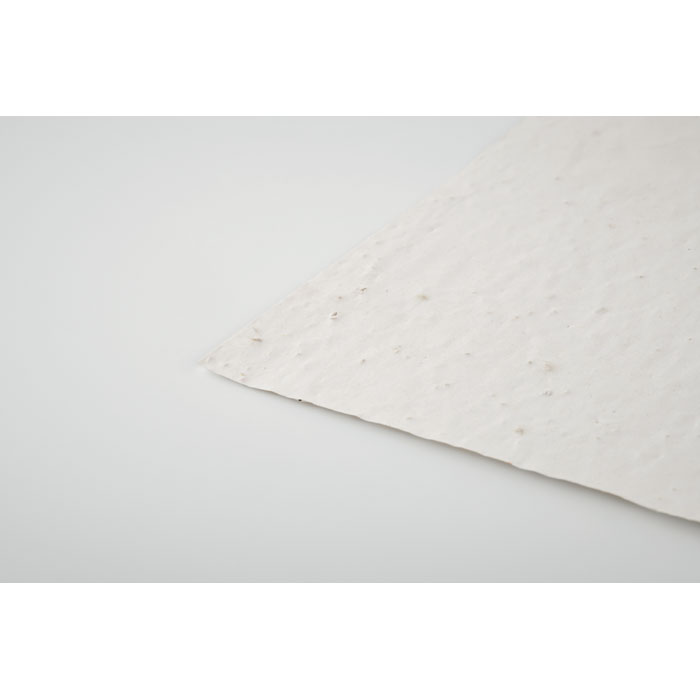 mo6916-06-detail.jpg ASIDO - Image 5